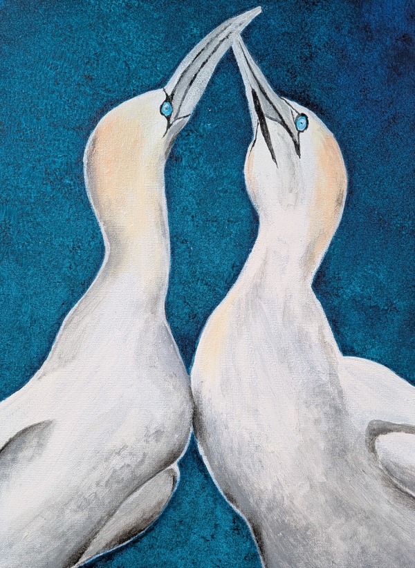 Let's Dance - Two gannets on canvas.